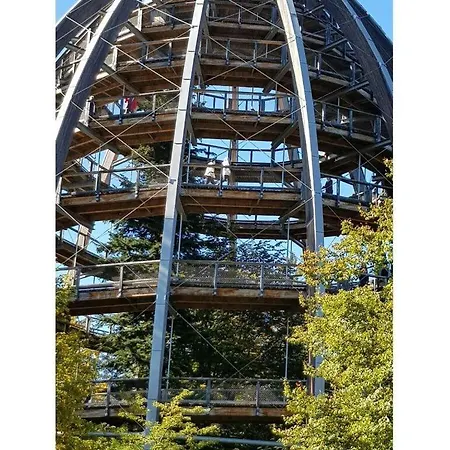 Breit Kirchdorf im Wald