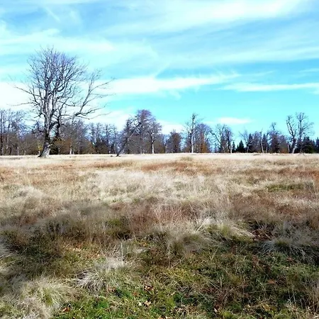 Breit * Kirchdorf im Wald